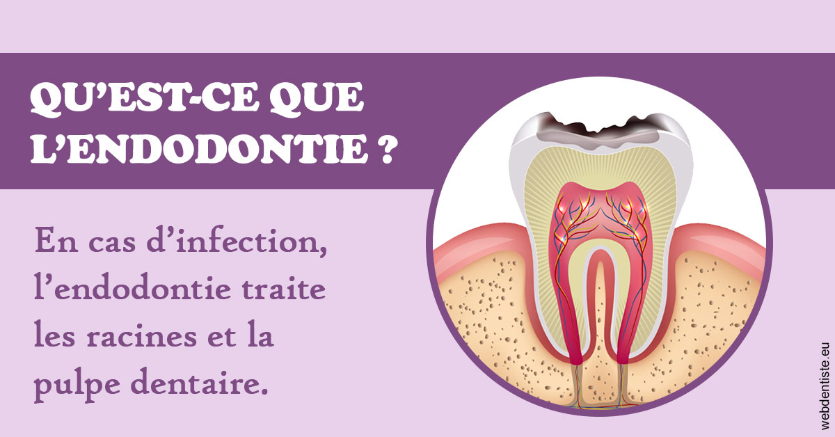 https://www.lecabinetdessourires.fr/2024 T1 - Endodontie 02