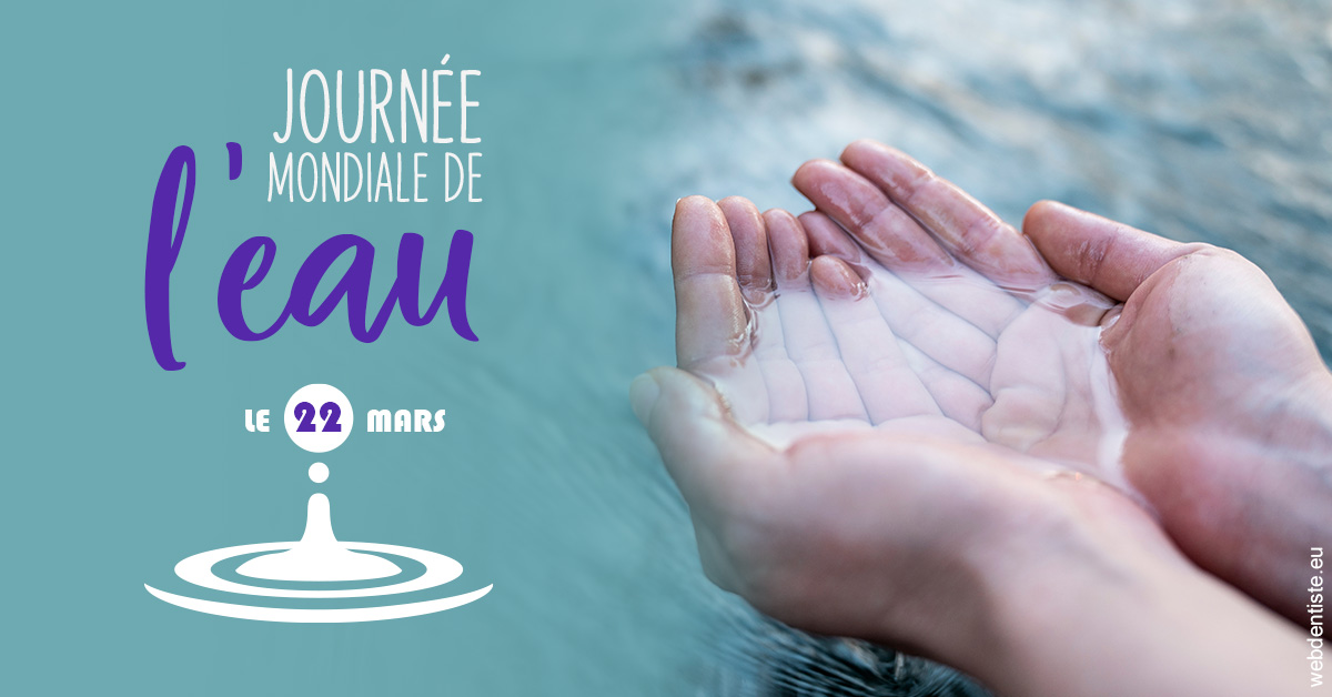 https://www.lecabinetdessourires.fr/2024 T1 - Journée de l'eau 02