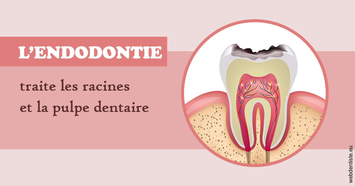 https://www.lecabinetdessourires.fr/L'endodontie 2
