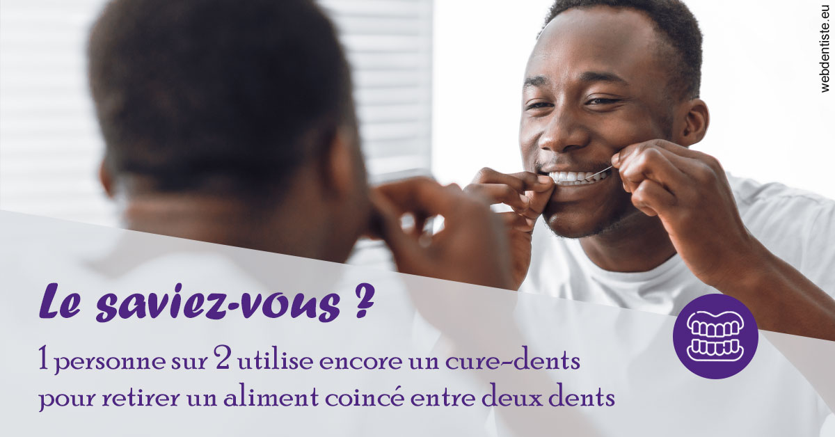https://www.lecabinetdessourires.fr/Cure-dents 2
