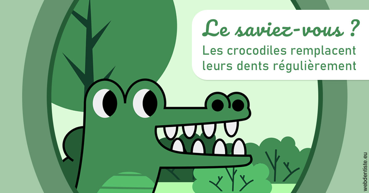 https://www.lecabinetdessourires.fr/Crocodiles 2
