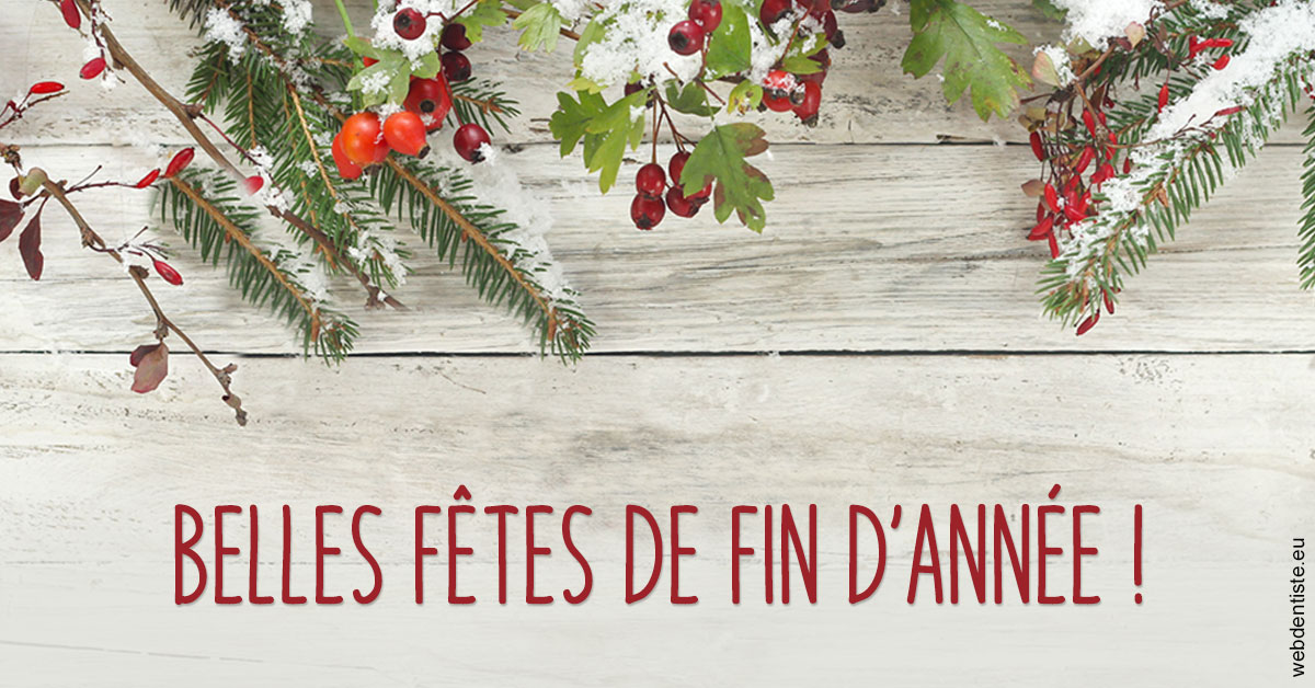 https://www.lecabinetdessourires.fr/Joyeux Noël 2