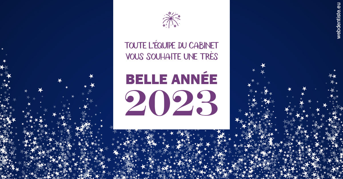 https://www.lecabinetdessourires.fr/Bonne année 2023 2