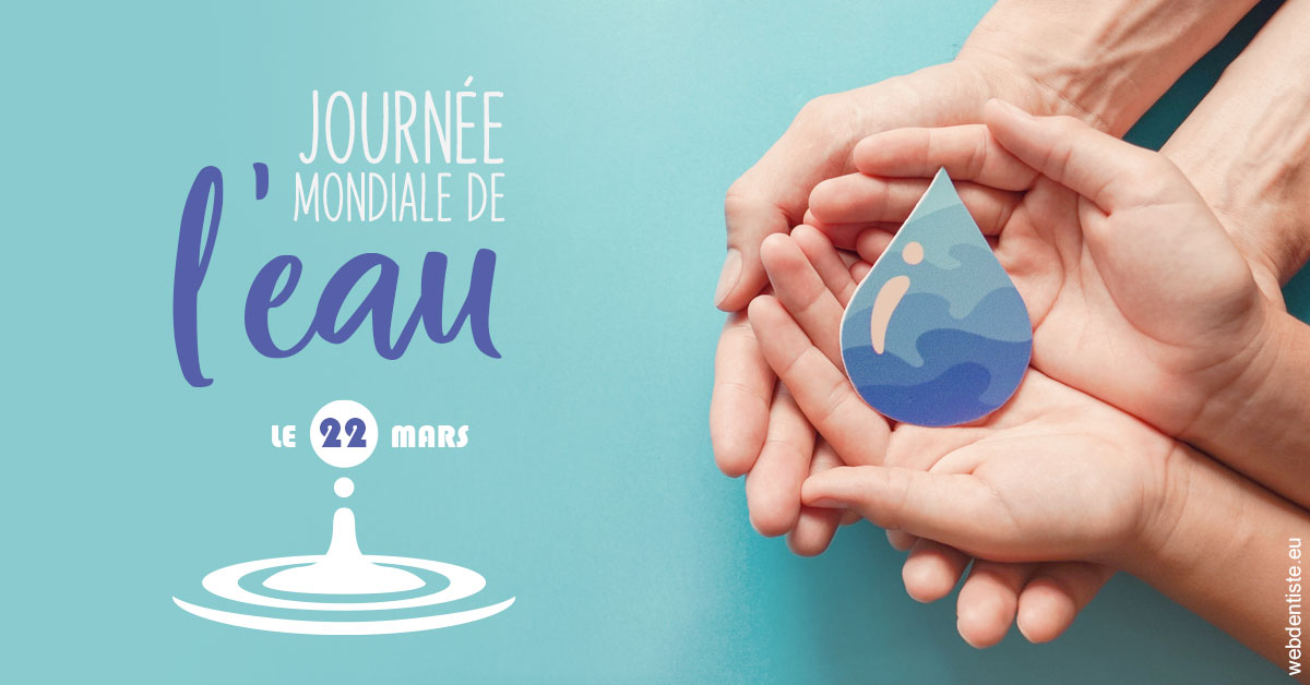https://www.lecabinetdessourires.fr/La journée de l'eau 1