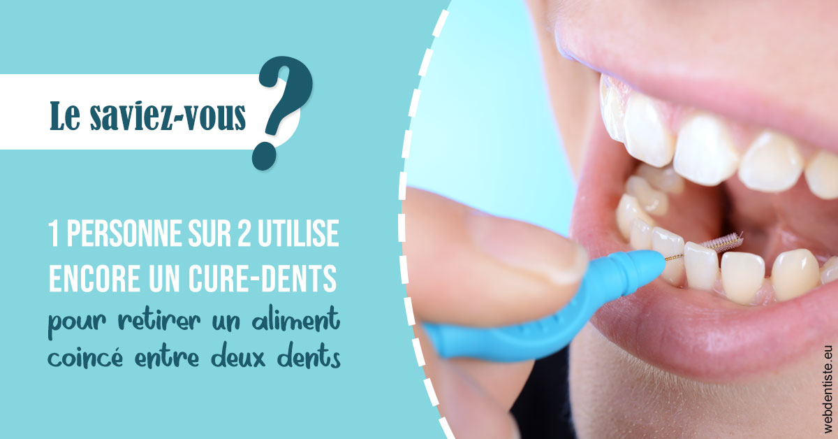 https://www.lecabinetdessourires.fr/Cure-dents 1