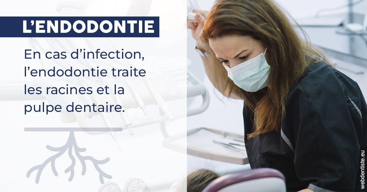 https://www.lecabinetdessourires.fr/L'endodontie 1