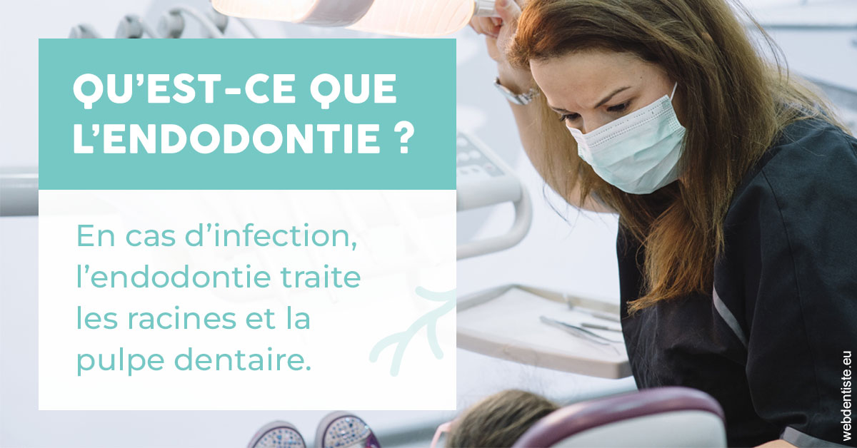 https://www.lecabinetdessourires.fr/2024 T1 - Endodontie 01