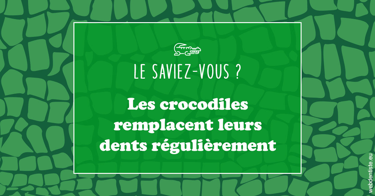 https://www.lecabinetdessourires.fr/Crocodiles 1
